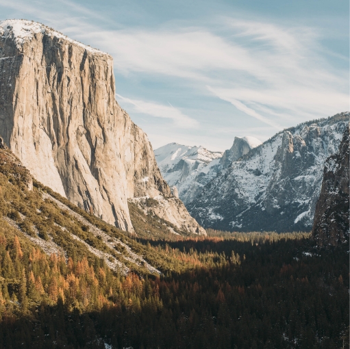 Navigate global employment laws with our comprehensive guide